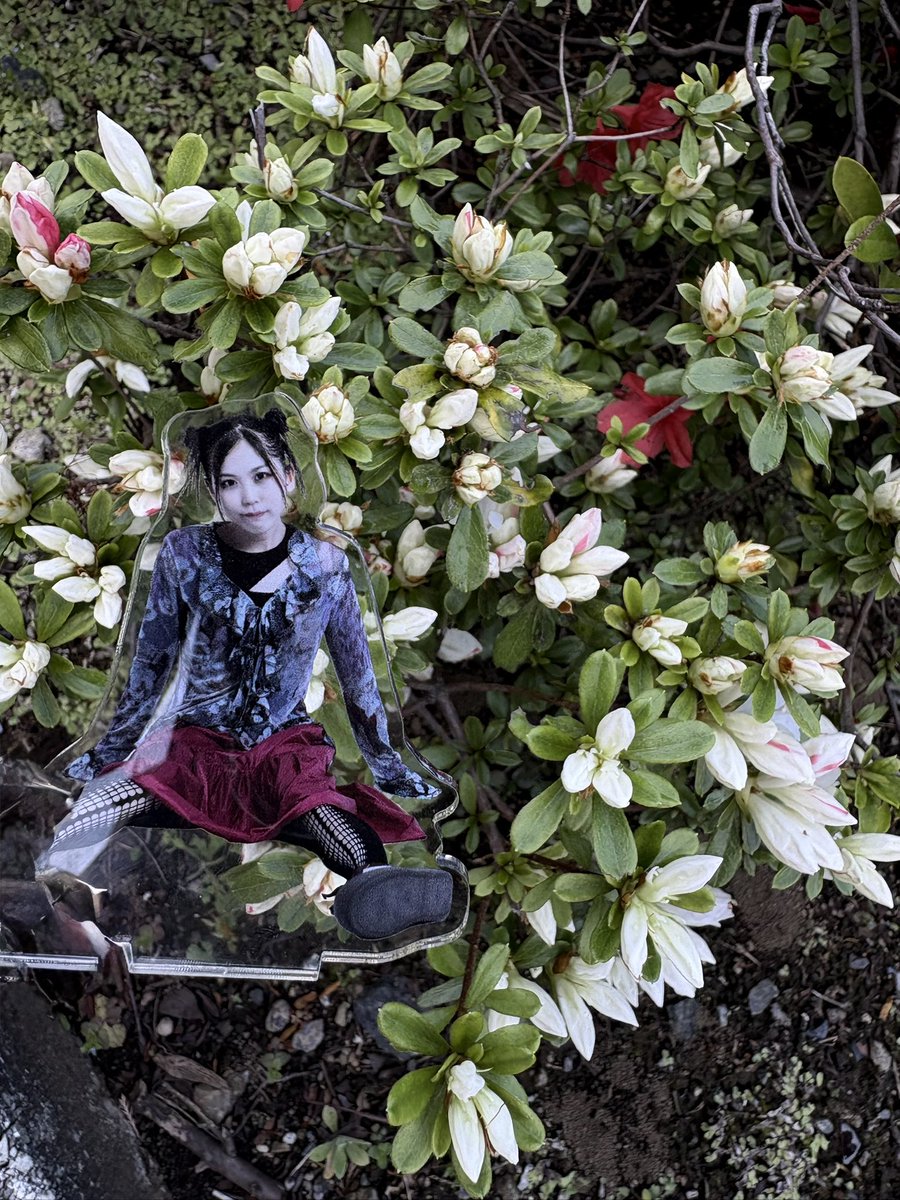 すずかすよしお tweet media