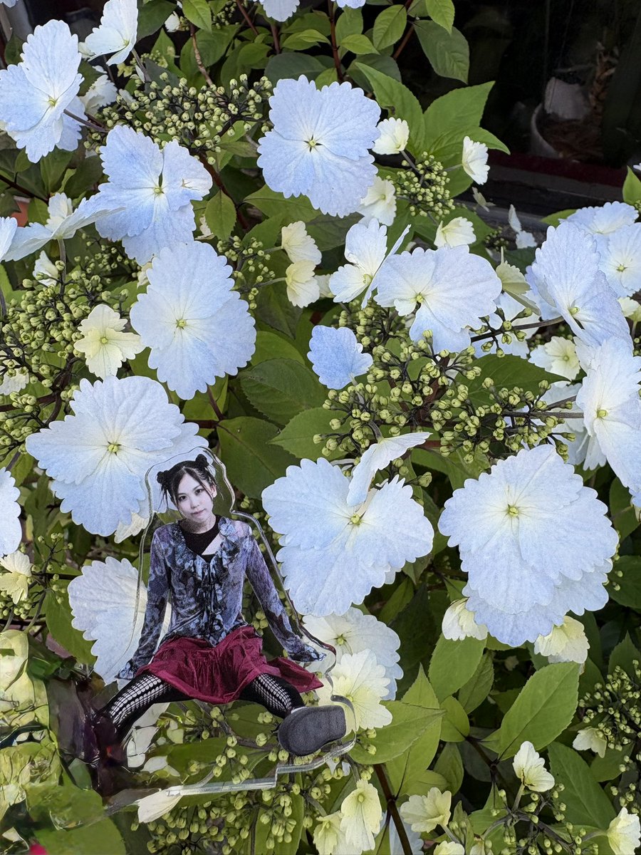 すずかすよしお tweet media