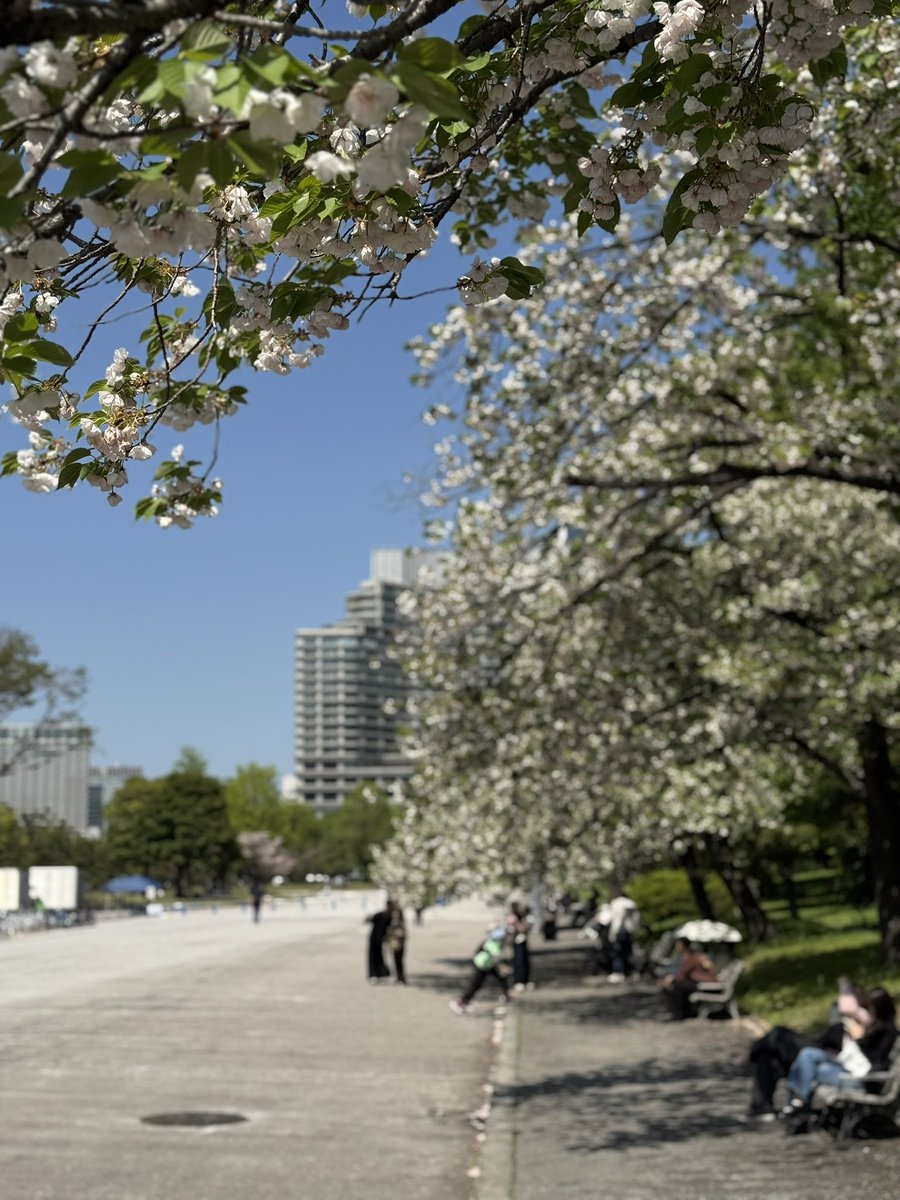 ぞく😽 tweet media