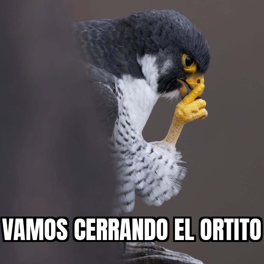 Lagarto Escritor🇺🇾 🦎 tweet media