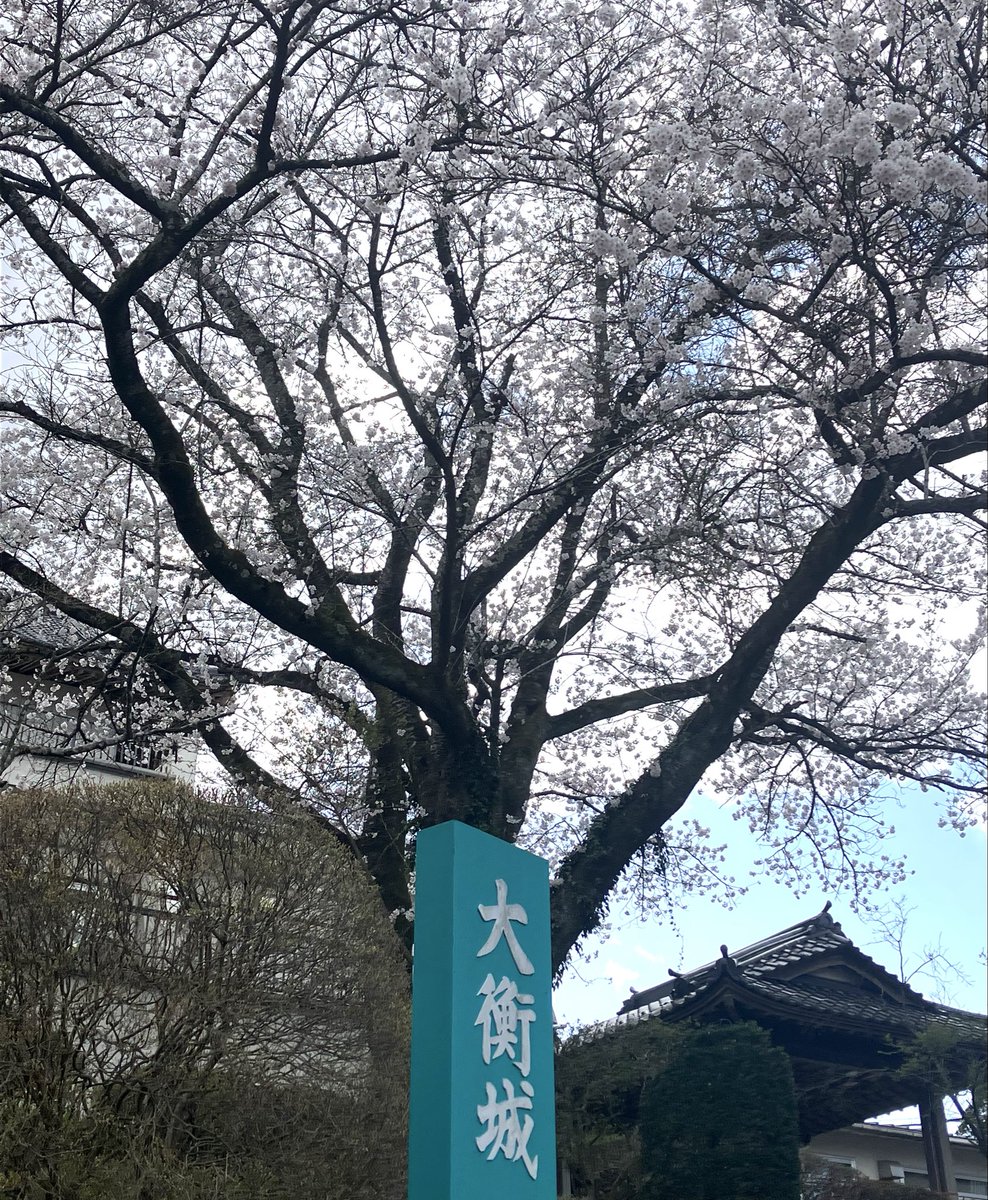 とろサーモン tweet media