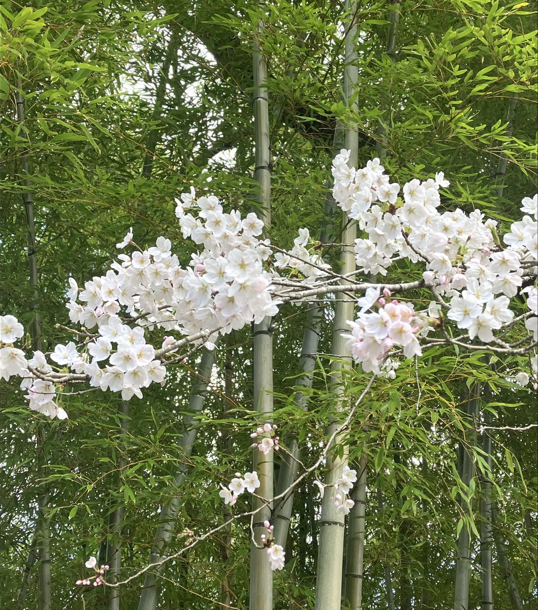 とろサーモン tweet media