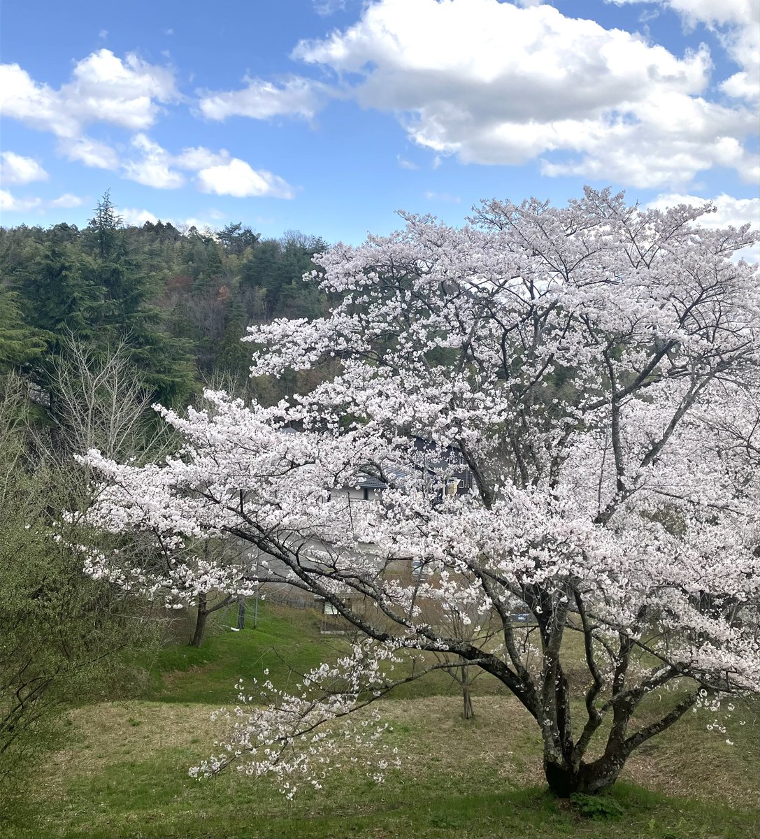 とろサーモン tweet media