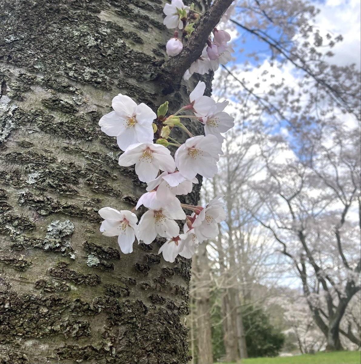 とろサーモン tweet media