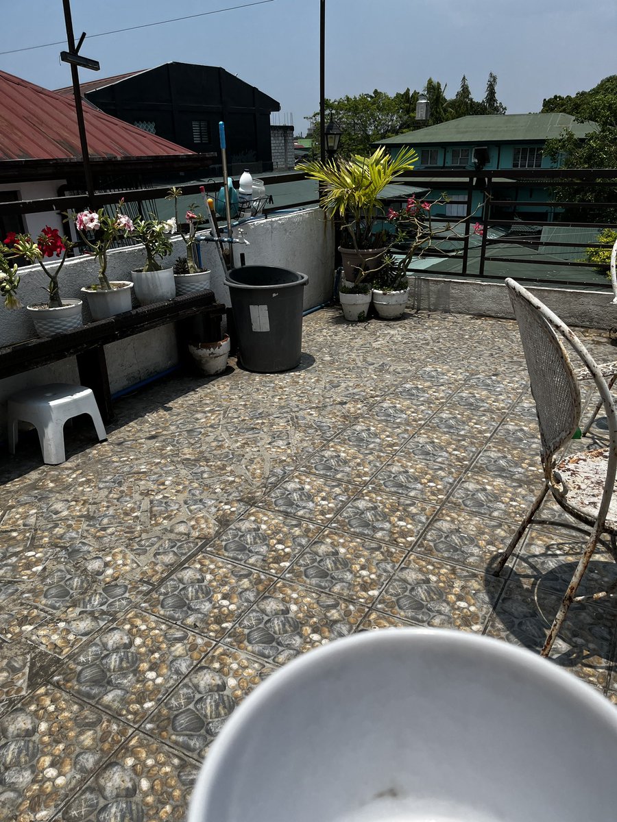 ᥬᩤhachi tweet media