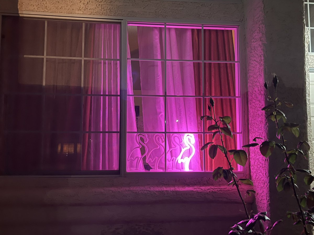 x-Lola The VGK Panda Pup ❤️🐼🐶 tweet media