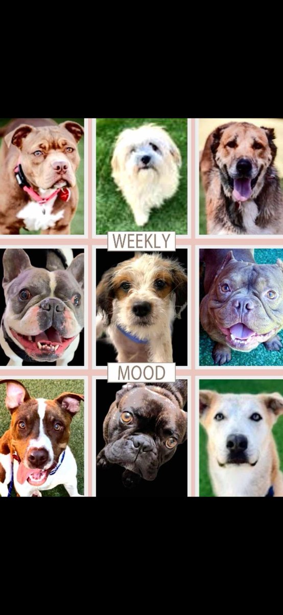 Kerri Reed tweet media