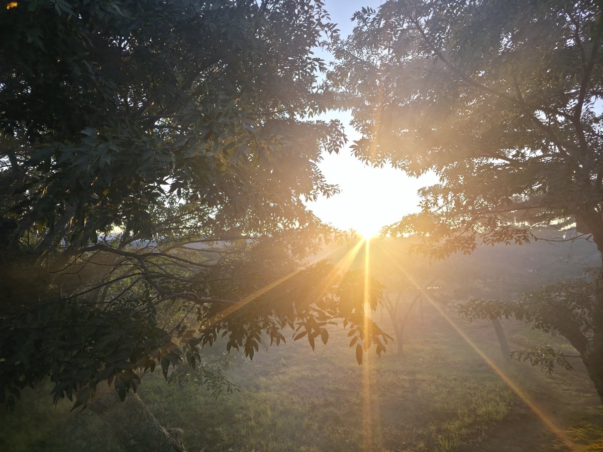 Rashid Salimu tweet media