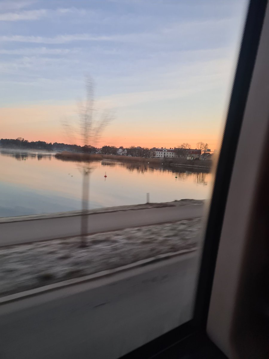 Max Andersson tweet media