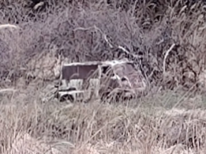 今年一発目の林道探索で見つけたのはなんと初代サンバー
遠くにあって接近できなかったがこの顔は間違いないだろう
初代サンバーはいつか見つけたかった草ヒロ
見つけた瞬間声が出た