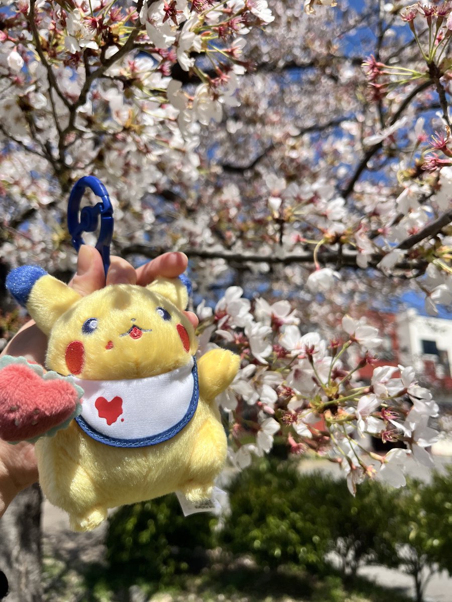 さしすせそ tweet media