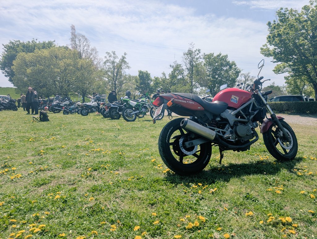 🍁ねり嬢 (媛ライダー)🏍 ᐡ ̳ᴗ ̫ ᴗ ̳ᐡ tweet media