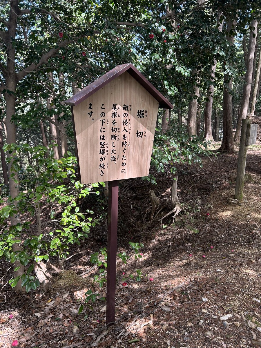 みか💐 tweet media