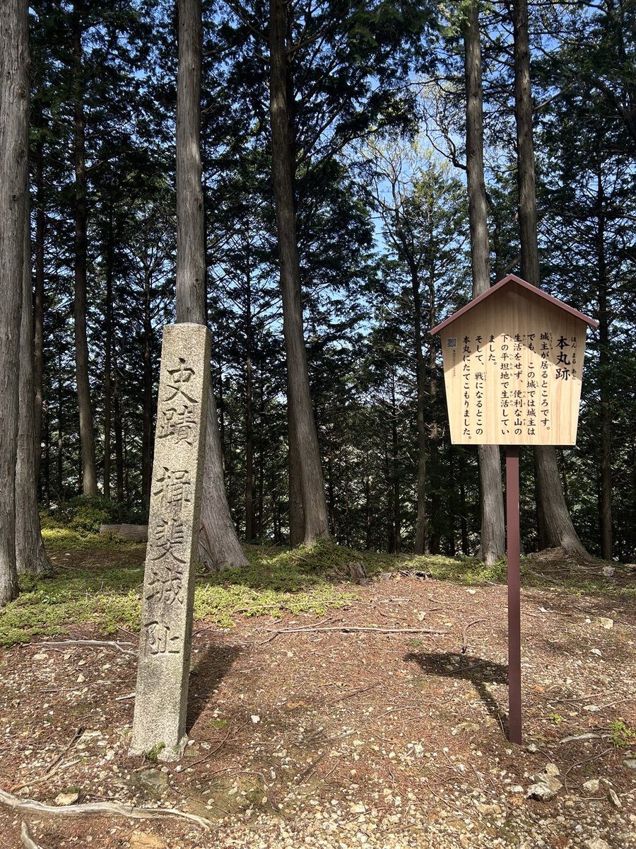 みか💐 tweet media