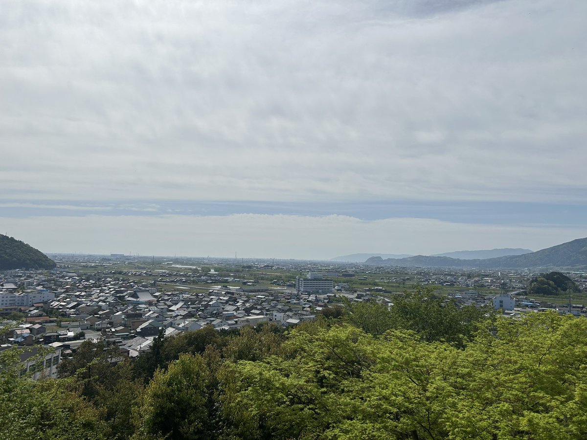 みか💐 tweet media