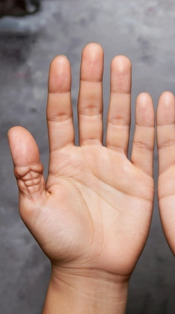 Hot Chocolate tweet media