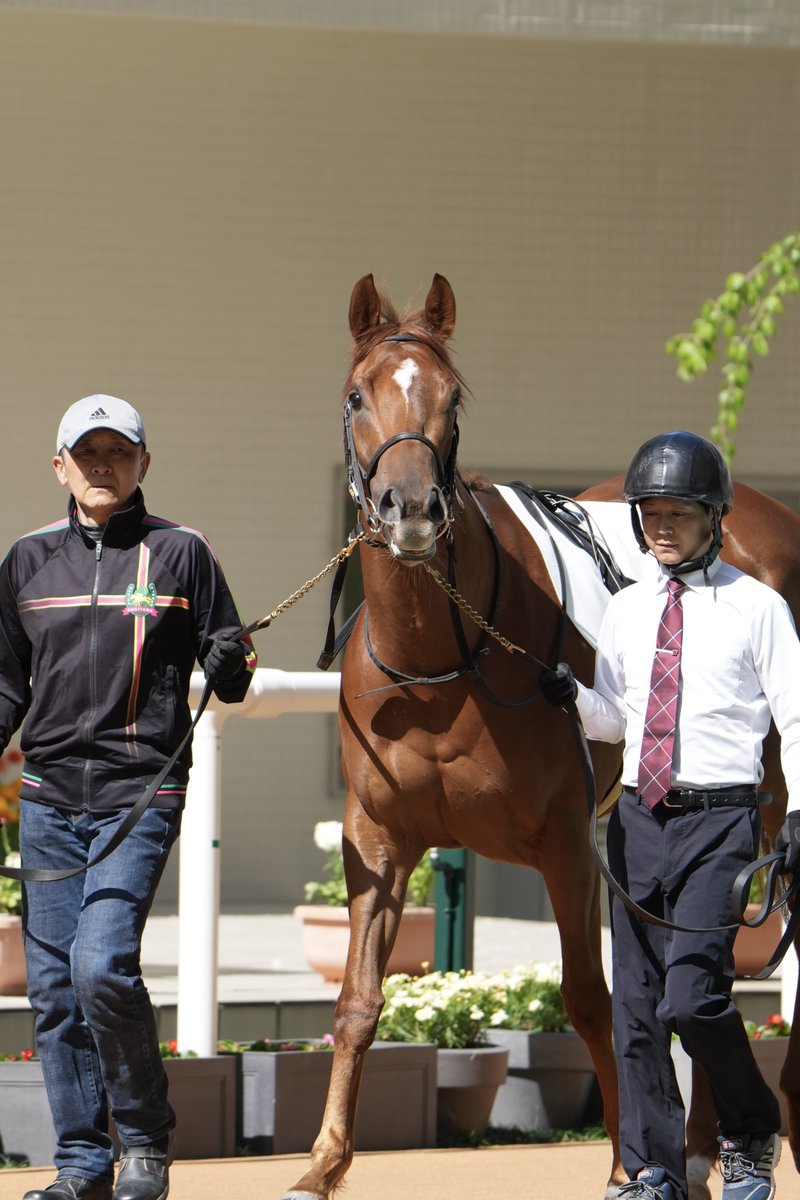 こぐま tweet media