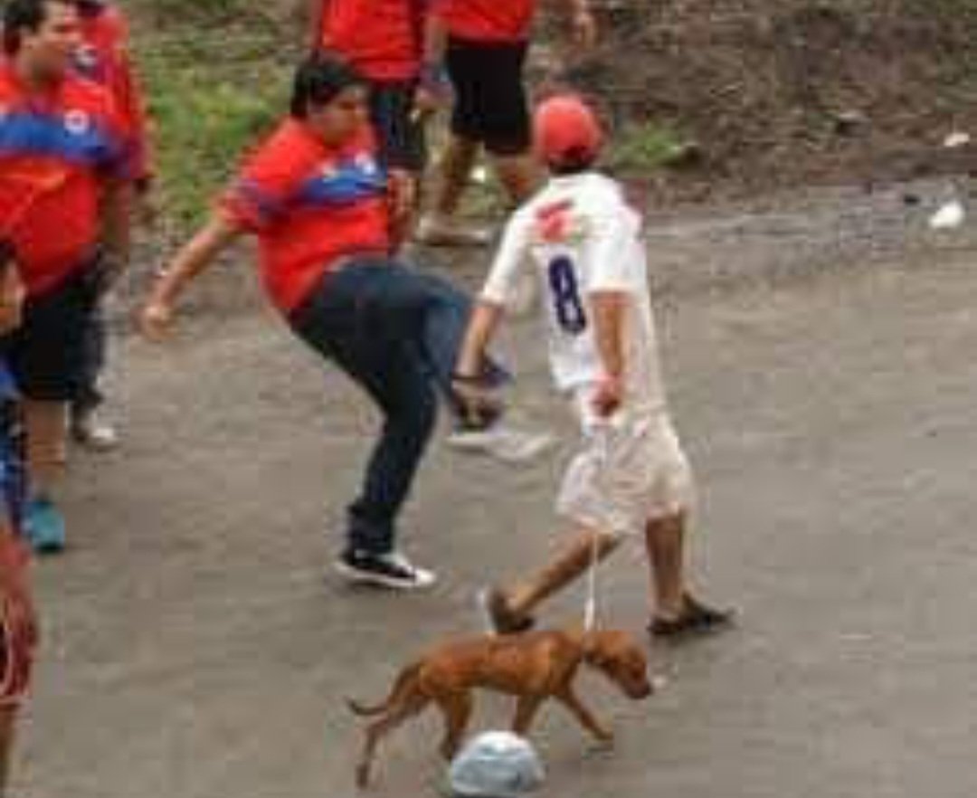 Oscar Cea tweet media