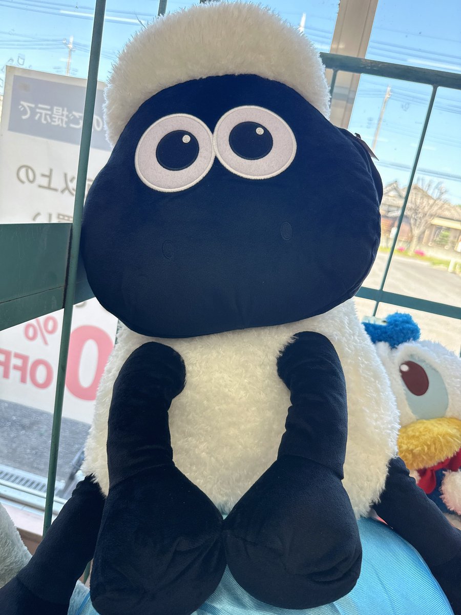 kingfamilyKANTO's tweet image. 【越谷店】

今日も元気に頑張ります！

オススメは...
ひつじのショーンのぬいぐるみ！
￥610
※移送・取り置き対象外となります

#越谷店 #古着 #雑貨 #ぬいぐるみ #ひつじのショーン