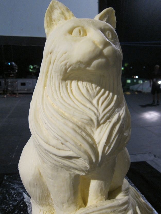 Ｃａｔｍａｘｘｅｒ tweet media