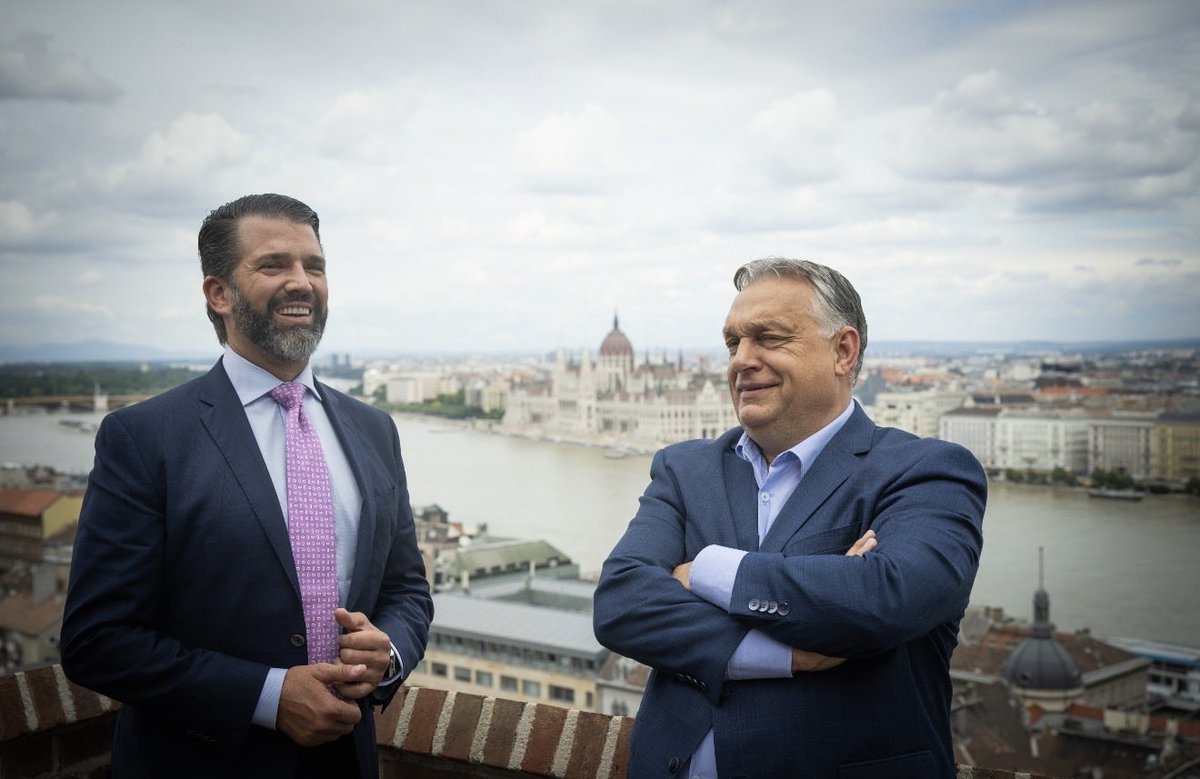 Donald Trump Jr. tweet media