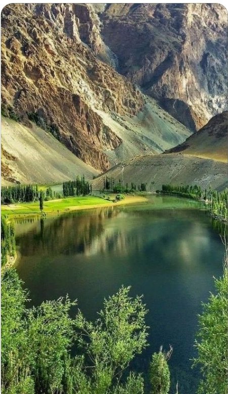 Devriş Yıldırım tweet media