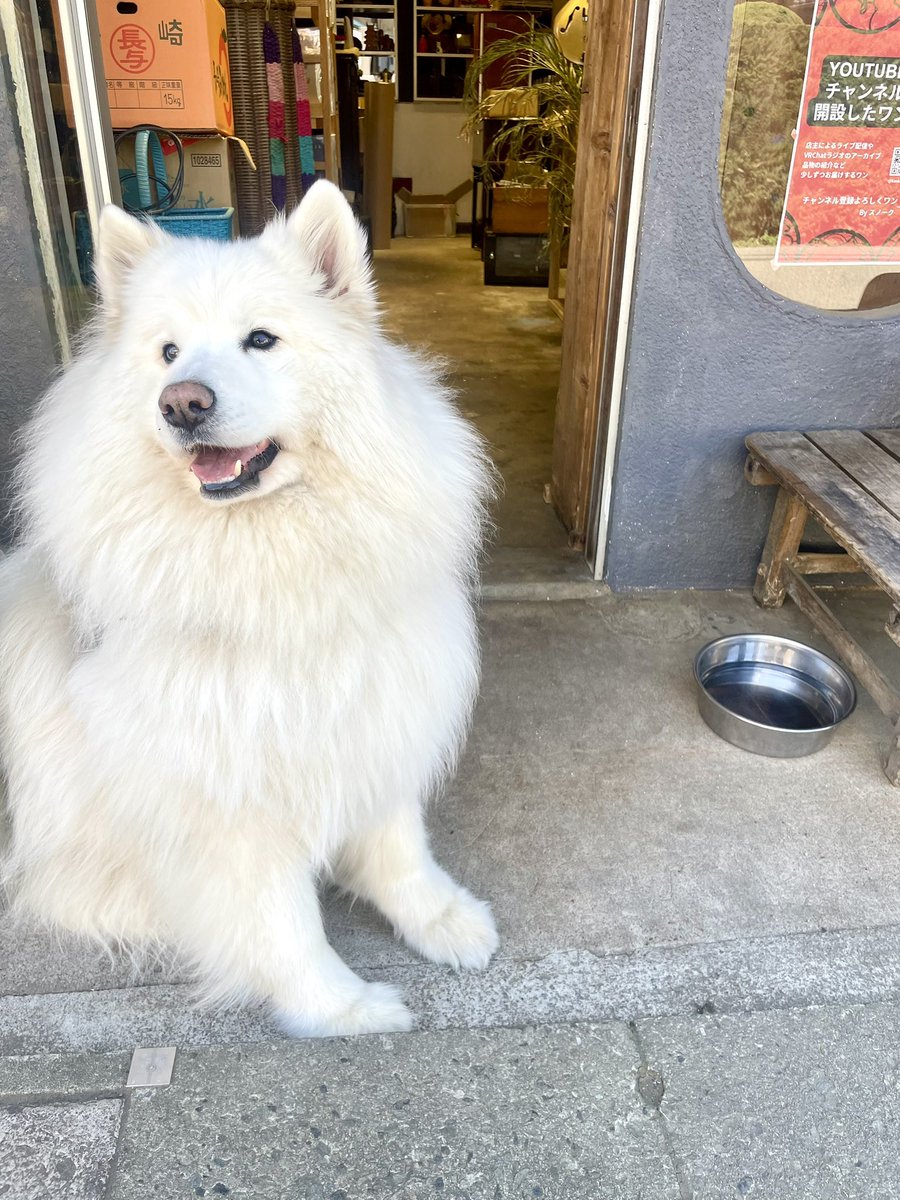 Antique&Collectible 閑古鳥 tweet media