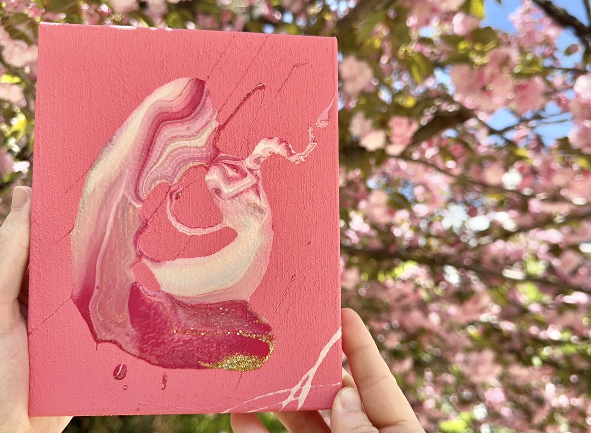 chikako adachi tweet media