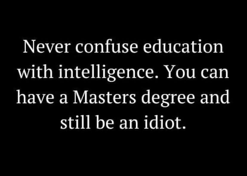 Milo Steele tweet media