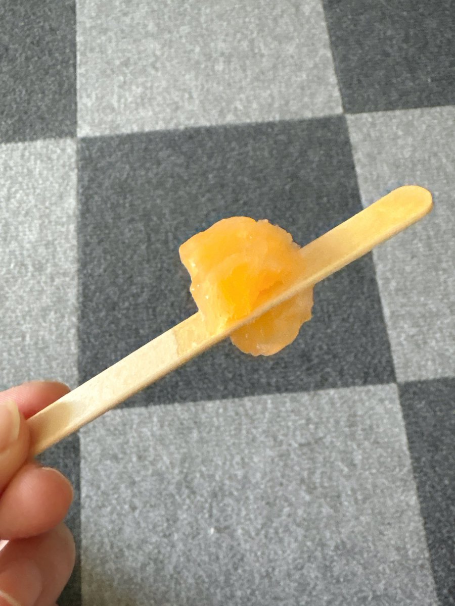 kurami🐬🐰 tweet media