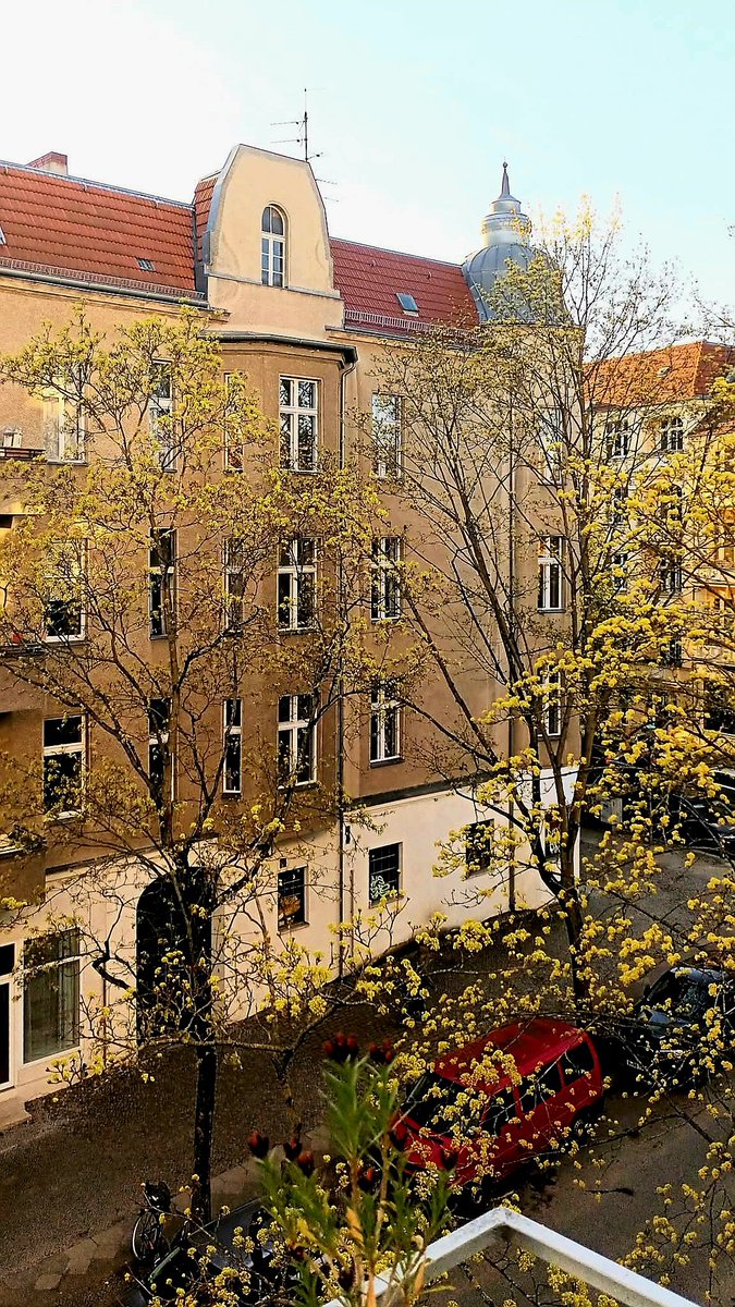 valentina tweet media