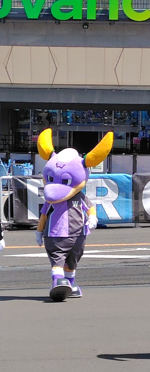 りょうこ⚽🐬 tweet media