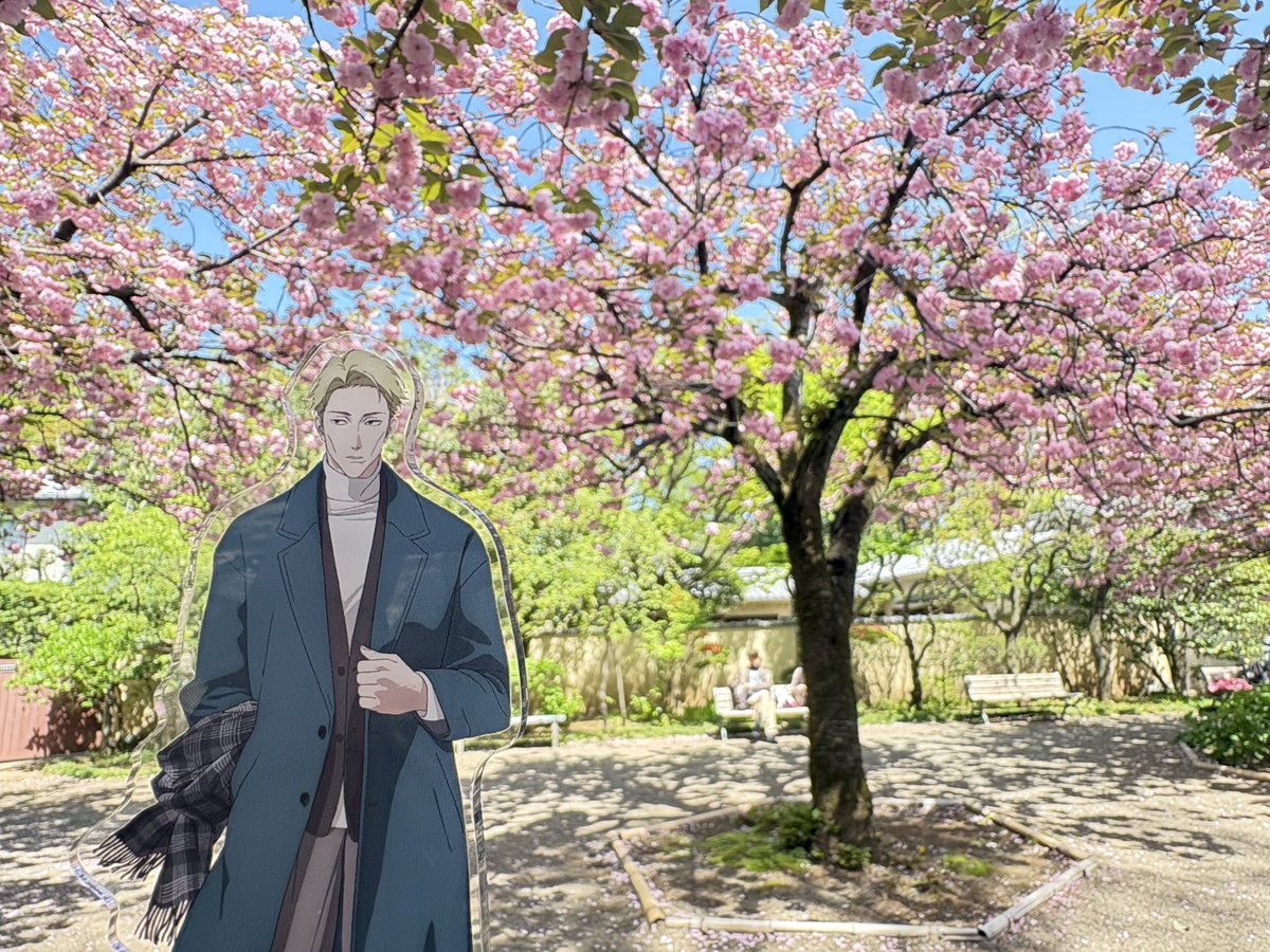 esu_otaku's tweet photo. サトザクラが満開でした🌸 https://t.co/A2KiJjwGgh