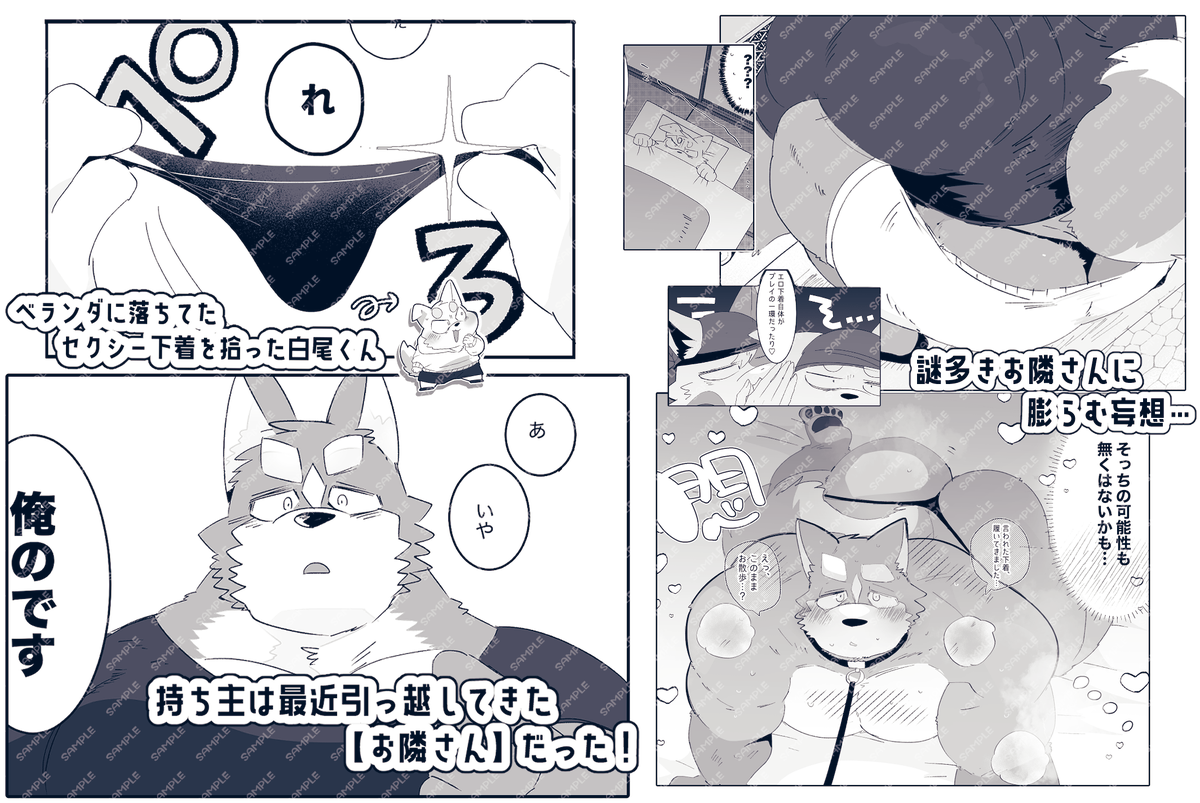 hyaku1063's tweet photo. 4/19（日）関西けもケット11
新刊情報です！

新刊①
ヒミツのお隣さん
セクシー下着を拾った白尾くん🐶と、下着を拾われたお隣さん🐺の着衣セックス多め本です。
🔞/B5/82p/4pカラー/1,500円
#けもケット https://t.co/5FD9Rpd9vX