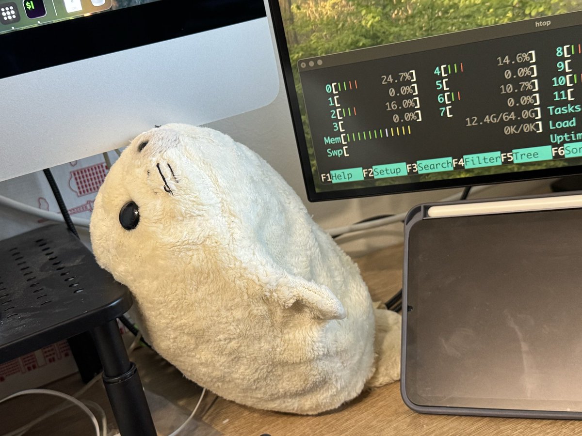 ごまふあざらし(GomahuAzarashi) tweet media