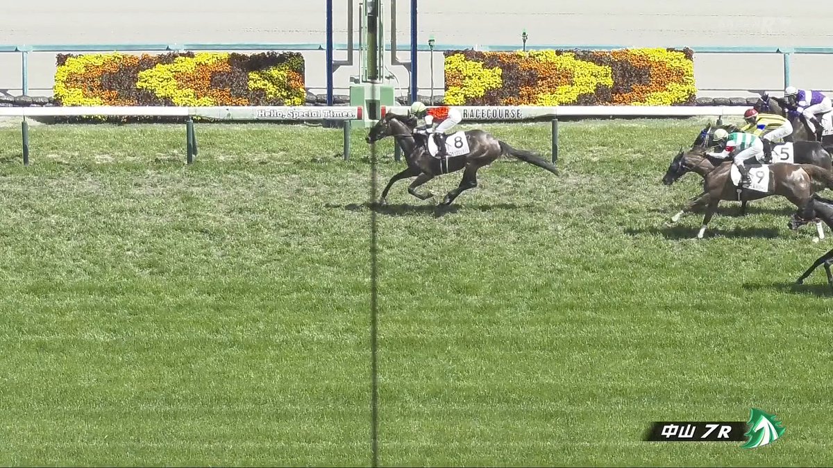 KEN THE 334 tweet media