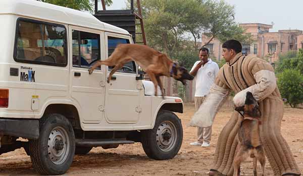 Ashok Rajpurohit tweet media