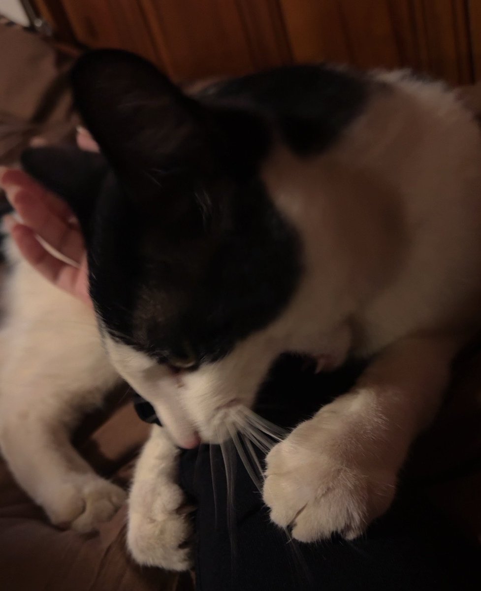 princess ⋆˙⟡♡ tweet media