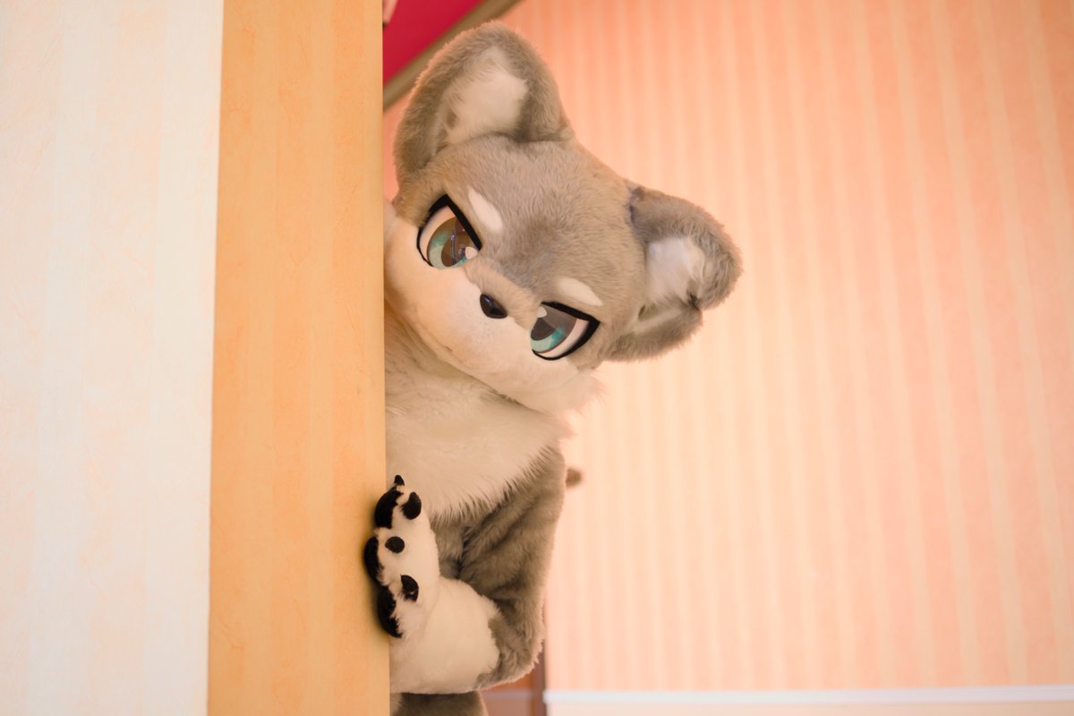 オプト🐾 tweet media