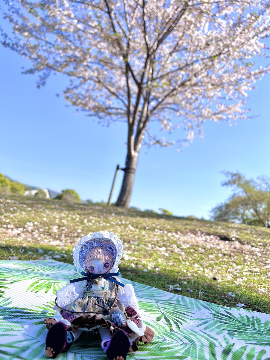 ミルクティーちゃんも一緒に奈良に行ったよ☺️

 #魚水屋