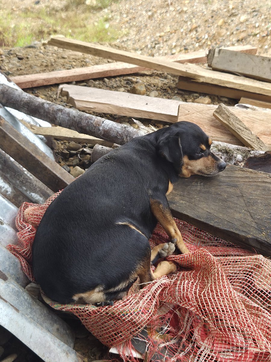 BTS x Lore🇨🇴 coming soon... tweet media