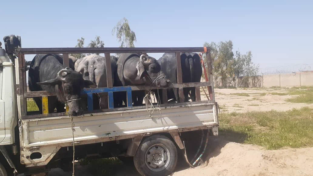 Ministry of Agriculture-Afghanistan (@MAIL_AF) on X