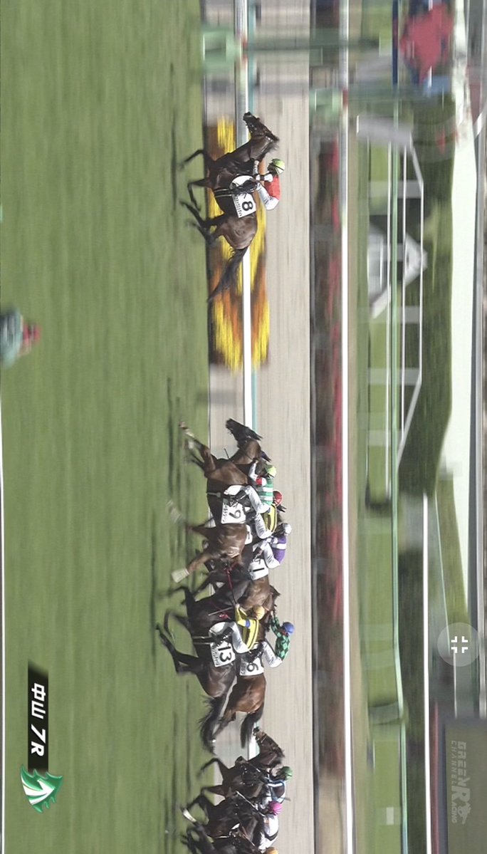 🐎きまぐれーな🏇 tweet media