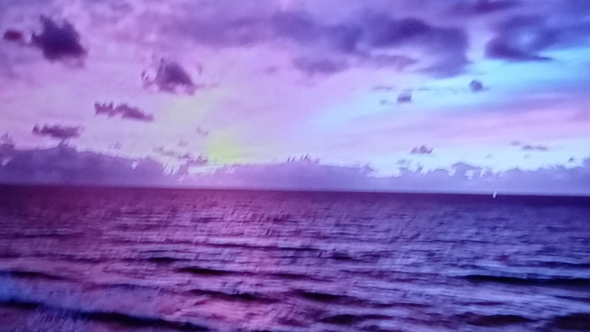 سلطان 🇸🇦 tweet media