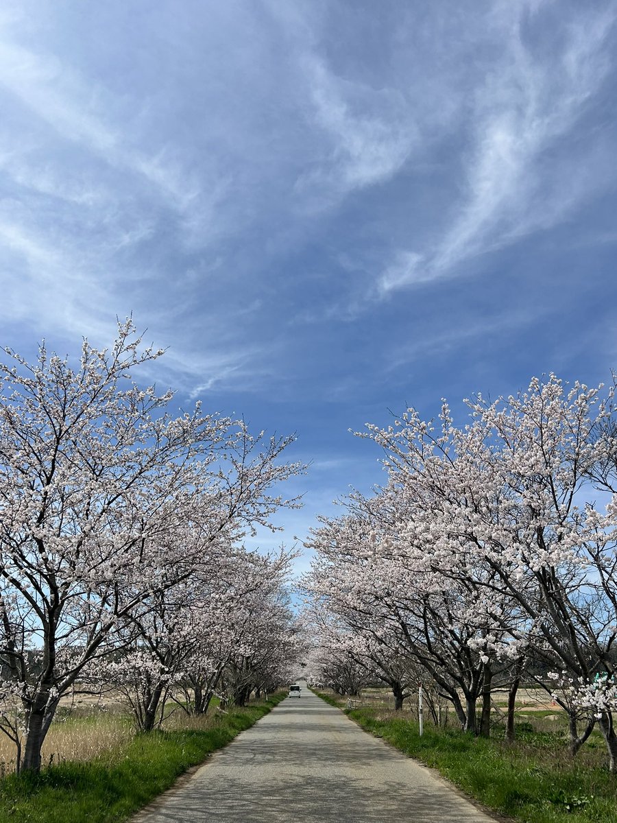 【御礼】

12/27〜4/3までに
ご支援いただきました方々

N.M様
カセダエミ様

継続したご支援本当にありがとうございます🙇‍♂️
お気持ちは災害によりお困りの方の為に大切に使わせて頂きます。
ありがとうございました🙇‍♂️

■+-+-+-+-+-+-+-+-+■