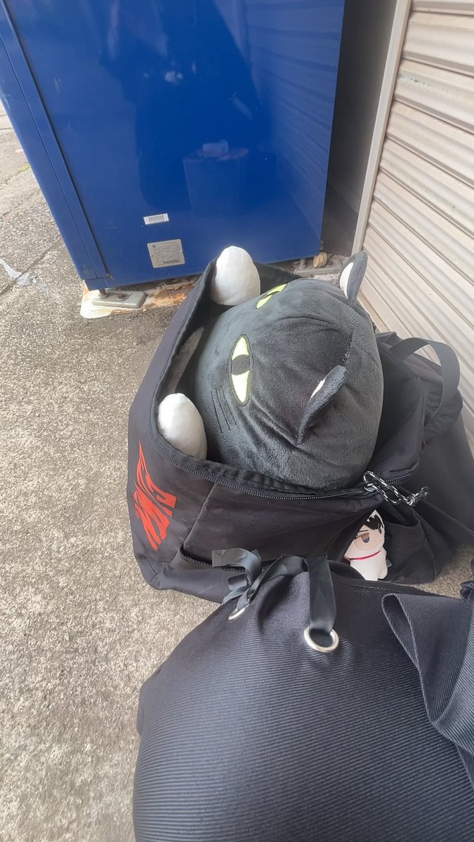 🔰Я3-やーさん-🔰本日ラクテンチイベ tweet media