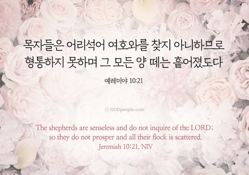 Grace 👑🇰🇷🇺🇲🇯🇵 tweet media