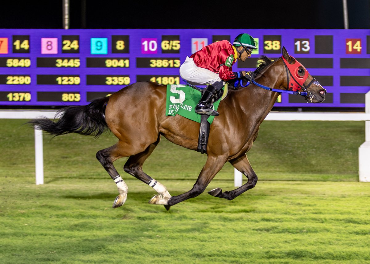 Louisiana Bred tweet media