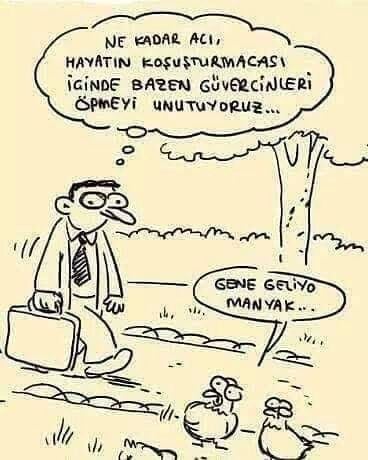 Günaydınlar güzel insanlar '' EY BENİM İYİMSER HALLERİM..NAZIM HİKMET '' pazarola dostlukla🙂🙂🙂