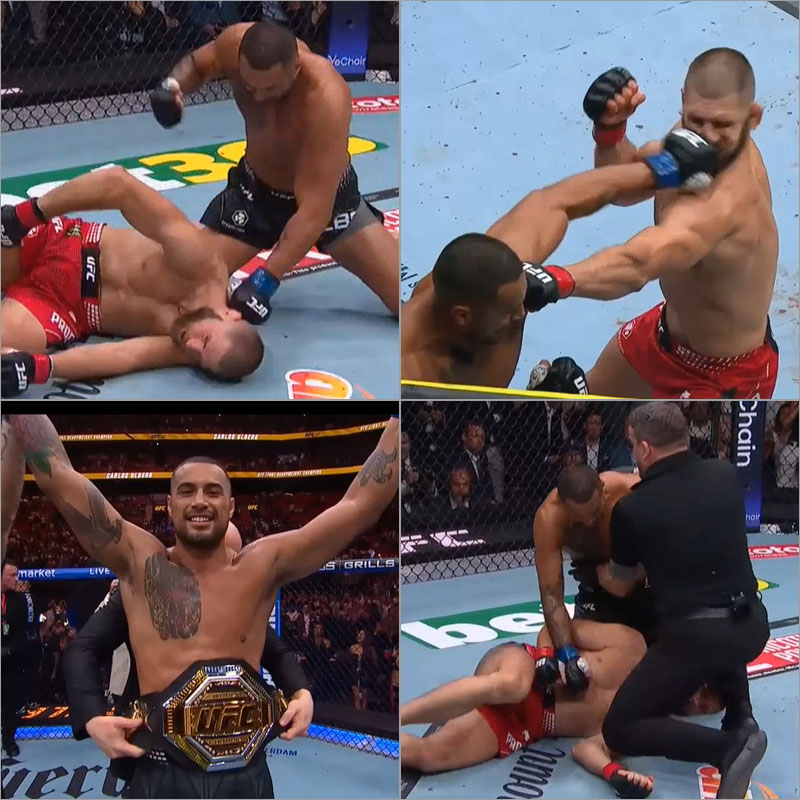 Mojahed Fudailat tweet media